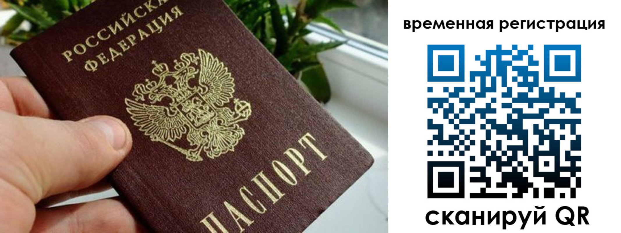 прописка поиск в Топках